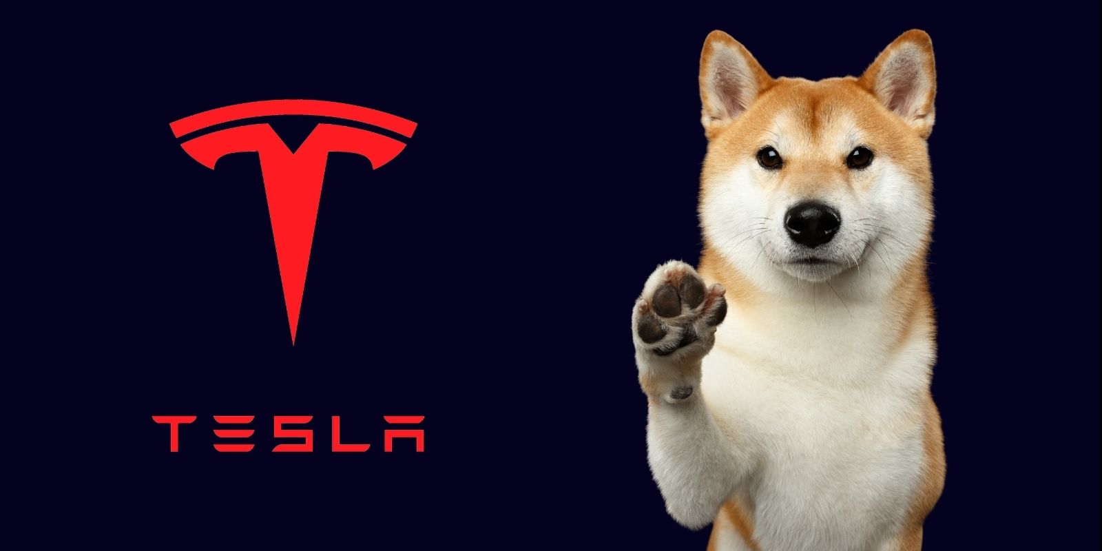 acheter-tesla-dogecoin-elon-musk-avis-twitter[1].jpg