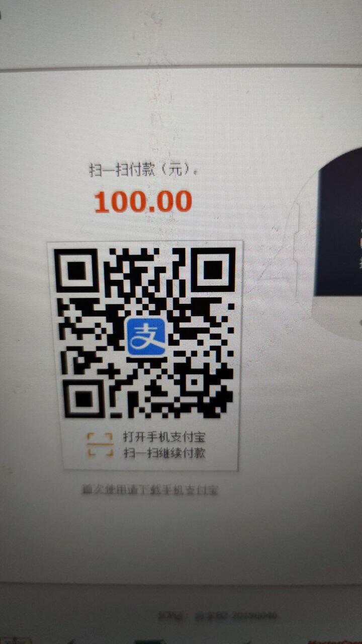 alipay-100RMB.jpg