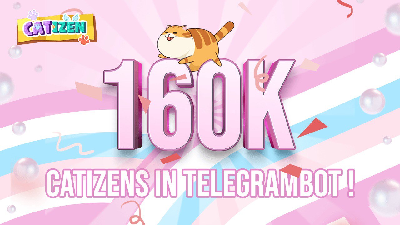 catizen-160k.jpg