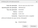 Captura de tela 2023-05-10 135532.png